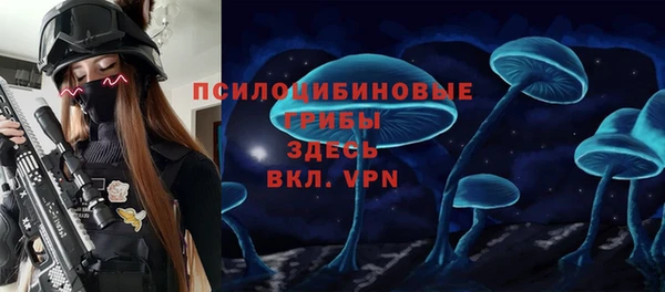 первитин Алексин