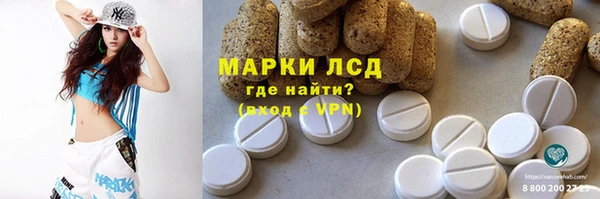 ECSTASY Алзамай