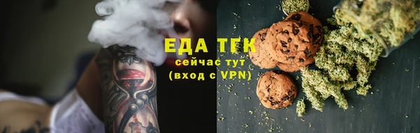 ECSTASY Алзамай