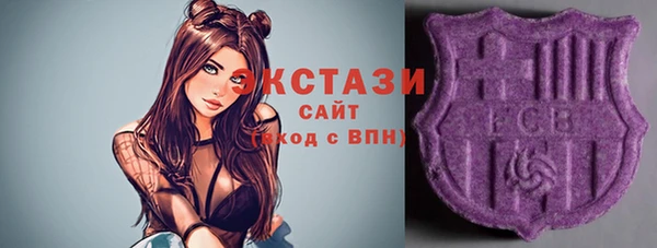 ECSTASY Алзамай