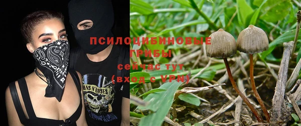 первитин Алексин