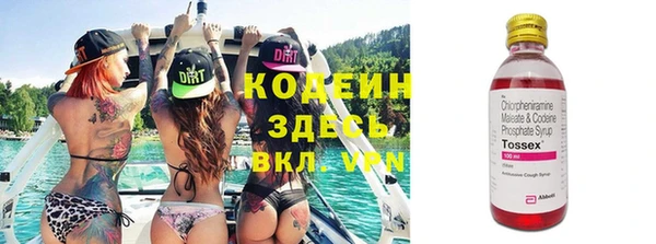 ECSTASY Алзамай